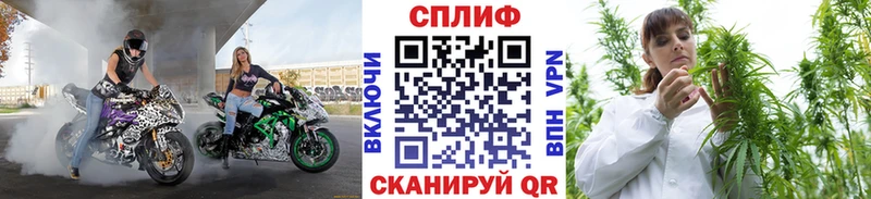 Где найти наркотики Заволжье МАРИХУАНА  MDMA  Меф  Cocaine  АМФЕТАМИН 