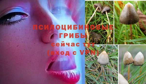 герыч Абдулино
