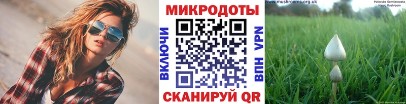 OMG   Заволжье  Галлюциногенные грибы мицелий  купить наркоту 
